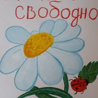 2 место 90002295 Белозерова А.
