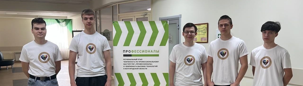 ВЧД Профессионалы, компетенция «Программные решения для бизнеса»