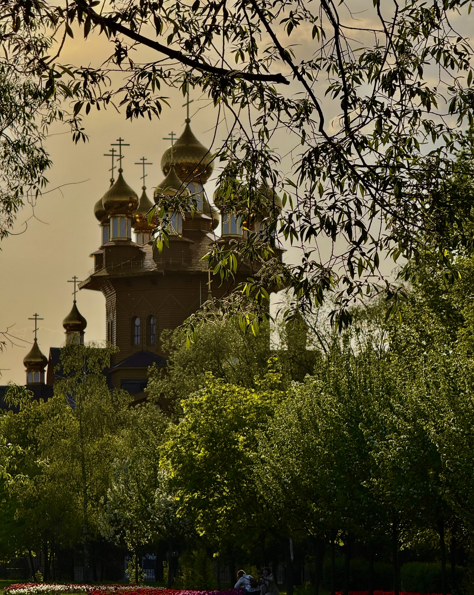 «Моя родная Белгородчина!»