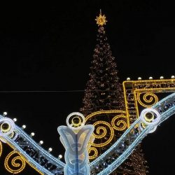 3 место 90002314 Щендрыгина Елка Белгородская вся в огнях сияет