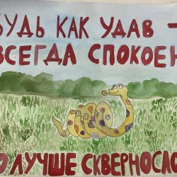3 место 90002396 Полина Божко