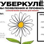 3 место 90002498 Палагичева В.