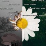 3 место Калинина_2316