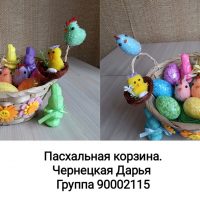 90002115 Чернецкая Дарья