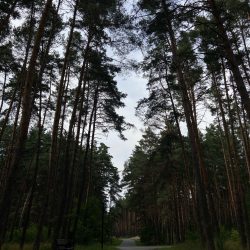 90002276 Кравцова Наедине с природой