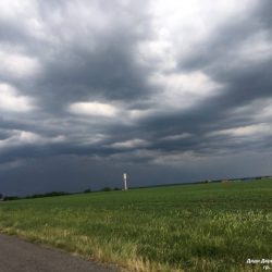 90002316 Дядя Природа – творец всех творцов