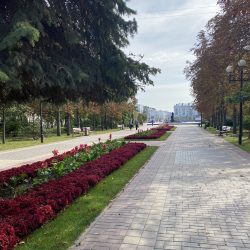 90002316 Иванова Цветущий Белгород
