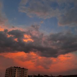 90002316 Плехова Сердце Белгородчины
