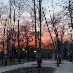 90002316 Поспехова Вечерняя проуглка