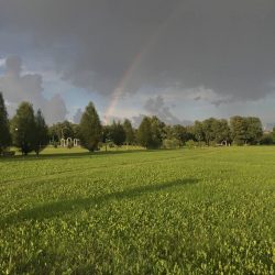 90002377 Псарева Ж. Парк Молодёжный, г. Короча