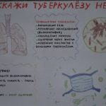90002462 Носенко София