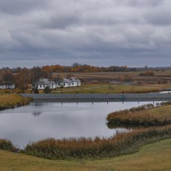 DSC_1046 (1)-2