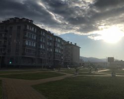 IMG_5723