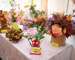 IMG_7817