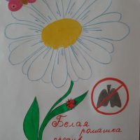 Нечаева Диана, гр. 90001873