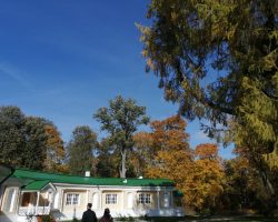 изображение_viber_2019-10-10_17-52-50