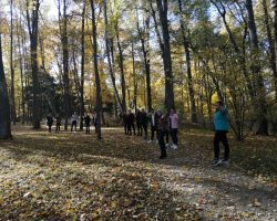 изображение_viber_2019-10-10_17-53-35